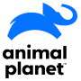 ANIMAL PLANET