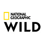 NG WILD